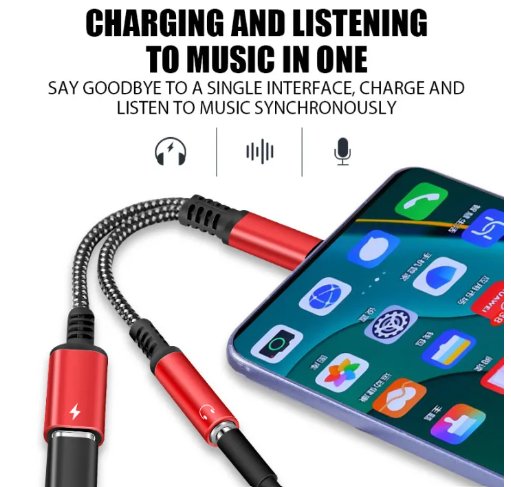 2 - in - 1 Charging Adaptor - Zambeel