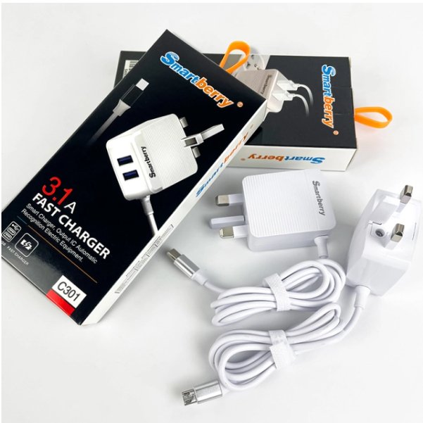 3 - in - 1 Charging Adapter - Zambeel