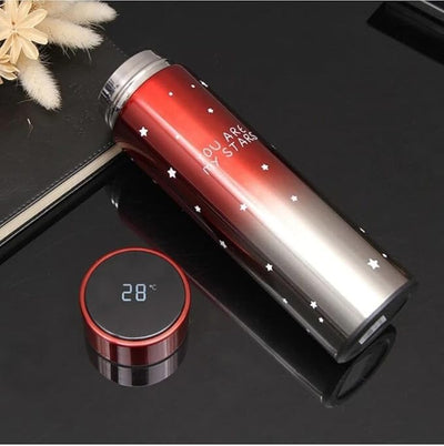 Stainless Steel Vacuum Bottle