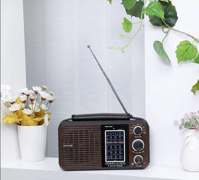 Rechargeable Radio