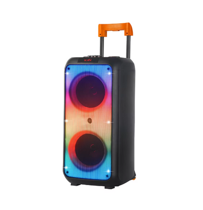 Outdoor Large Speakers (1095)