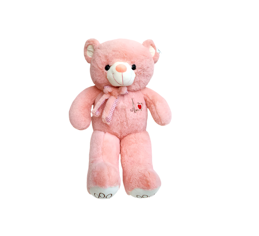 Teddy Bear Plush Toy