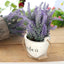 Artificial Lavender Plant Flowers - Zambeel