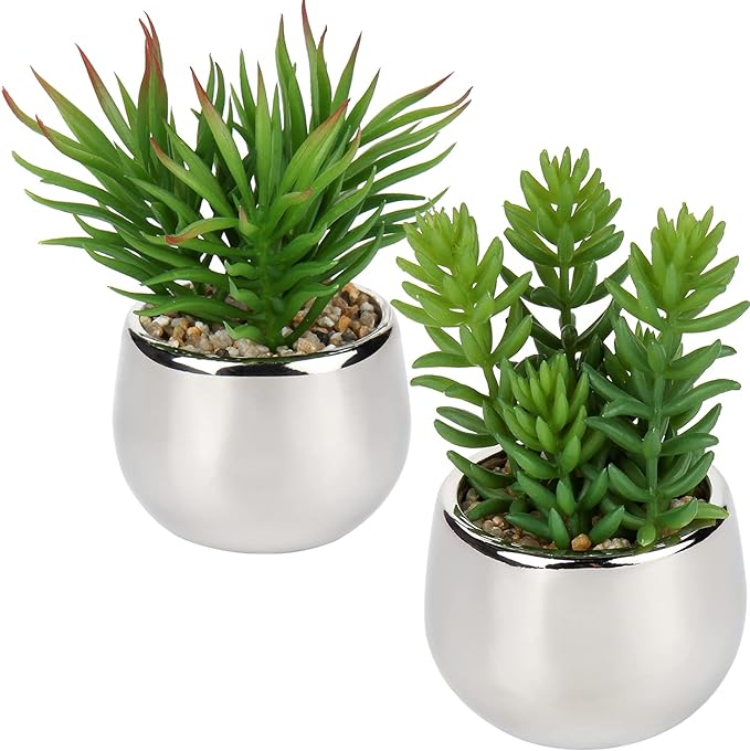 Artificial Silver Pot Plant - Zambeel