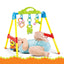 Baby Fitness Frame - Zambeel