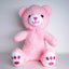 Bear Plush Toy - Zambeel