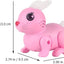 Bouncy Bunny Toy - Zambeel