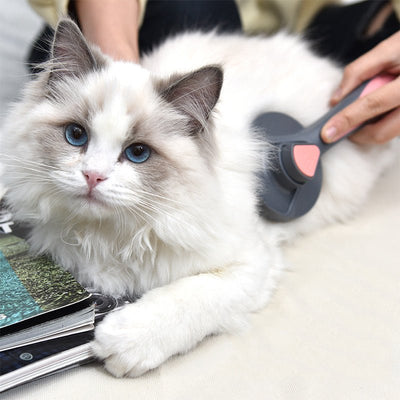 Cat Comb To Remove Floating Hair - Zambeel