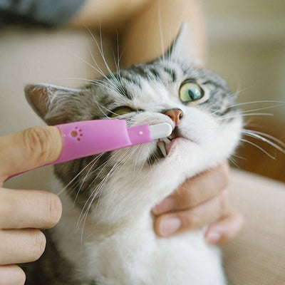 Cat Pet Finger Toothbrush - Zambeel