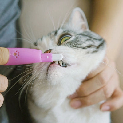 Cat Pet Finger Toothbrush - Zambeel