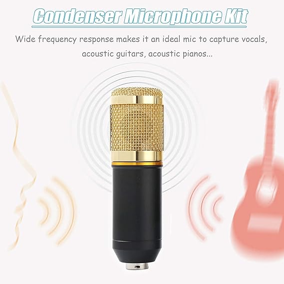 Condenser Microphone Kit - Zambeel