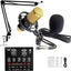 Condenser Microphone Kit - Zambeel