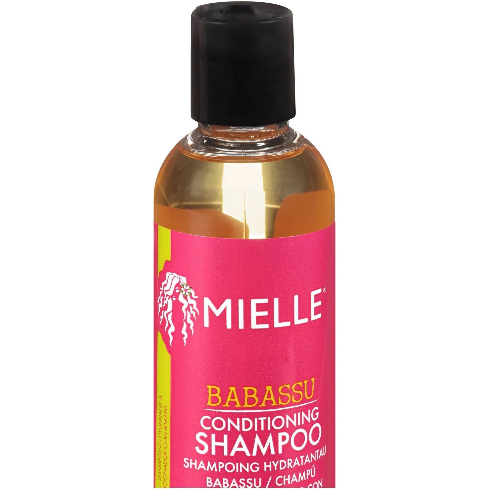 Conditioning Shampoo For Hairs (240ml) - Zambeel