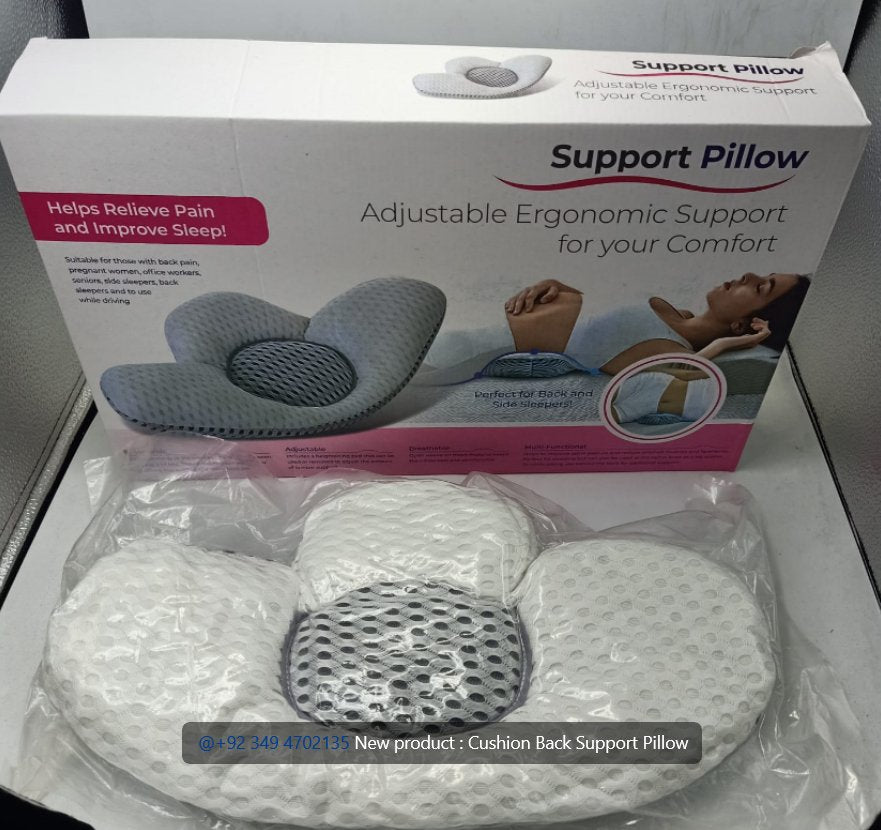 Cushion Back Support Pillow - Zambeel