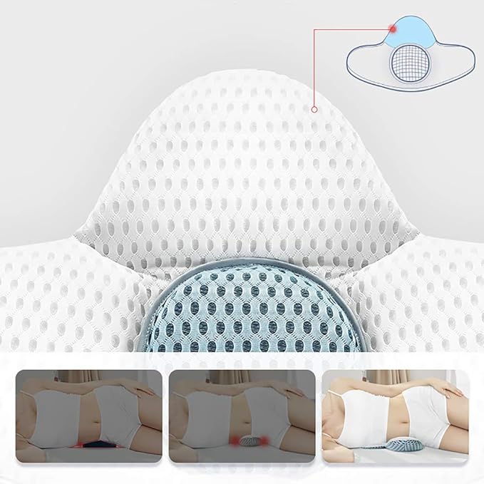 Cushion Back Support Pillow - Zambeel