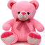 Cute Sitting Teddy (30cm) - Zambeel