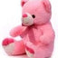 Cute Sitting Teddy (30cm) - Zambeel