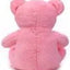 Cute Sitting Teddy (30cm) - Zambeel