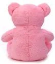 Cute Sitting Teddy (30cm) - Zambeel