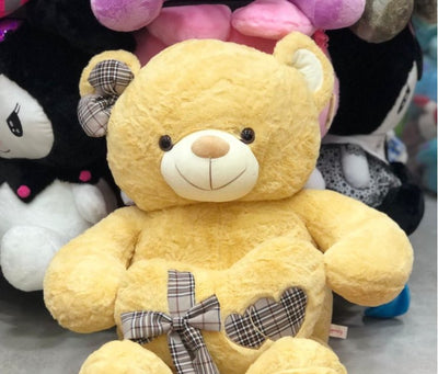 Cute Teddy Bear (60cm) - Zambeel