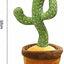 Dancing Cactus Toy - Zambeel