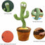 Dancing Cactus Toy - Zambeel