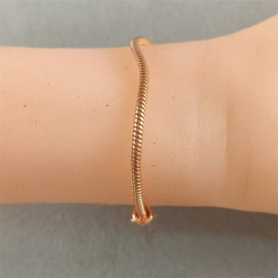 Dreamcatcher Bracelet Female Rose Gold Snake Bones Chain - Zambeel