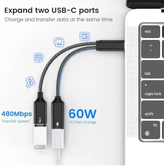 Dual Double USB C Port - Zambeel