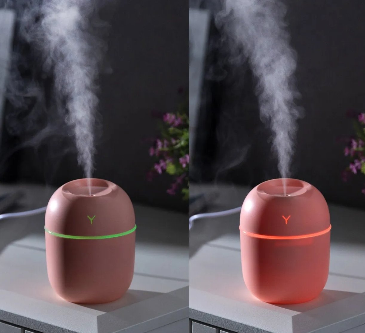 Egg Shaped Humidifier - Zambeel