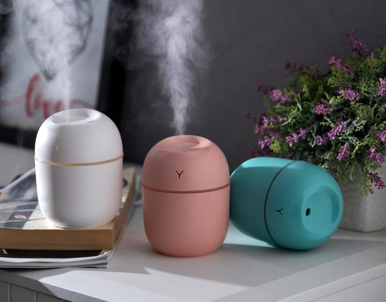 Egg Shaped Humidifier - Zambeel