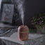 Egg Shaped Humidifier - Zambeel