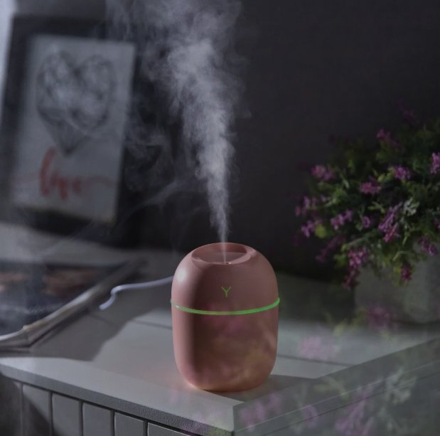 Egg Shaped Humidifier - Zambeel