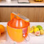 Electric Citrus Juicer - Zambeel