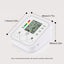 Electronic Blood Pressure Monitor - Zambeel