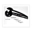 Hair Curler Roller - Zambeel