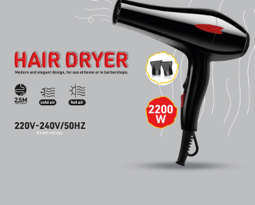 Hair Dryer (1343) - Zambeel