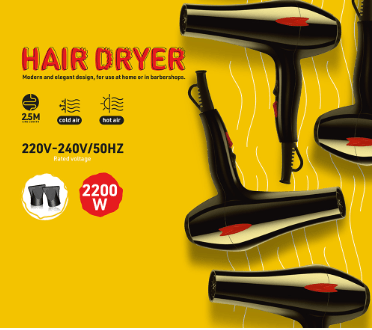 Hair Dryer (1343) - Zambeel