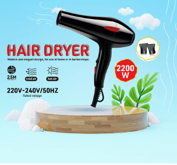 Hair Dryer (1343) - Zambeel