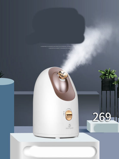 Hot and cold face steamer - Zambeel