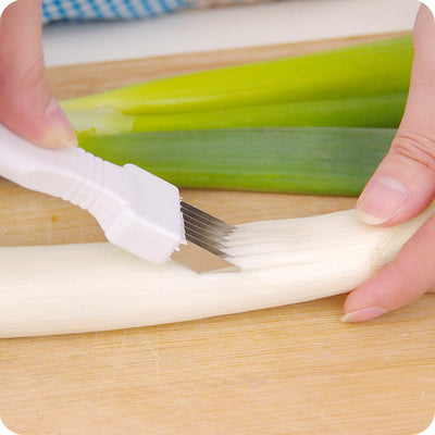 Kitchen Chopping Onion - Zambeel