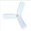 Led Fan Light - Zambeel