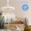 LED Multi-Function Fan Light - Zambeel