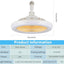 LED Multi-Function Fan Light - Zambeel