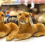 Lion Stuffed Toy (30cm) - Zambeel