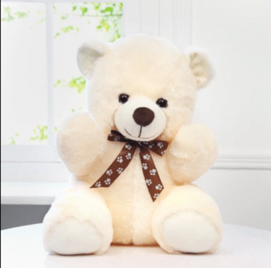 Love Combo Teddy Bear (40cm) - Zambeel