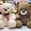 Love Combo Teddy Bear (40cm) - Zambeel