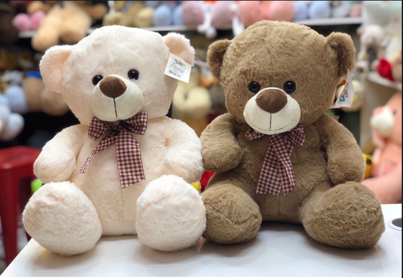 Love Combo Teddy Bear (40cm) - Zambeel