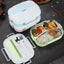 Lunch Box With Compartments - Zambeel