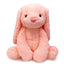 Mini Bunny Teddy Toy - Zambeel