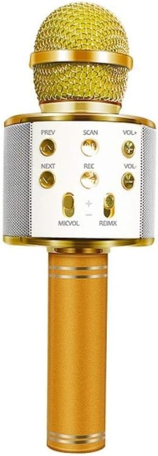 Music Mic WS - 858 - Zambeel